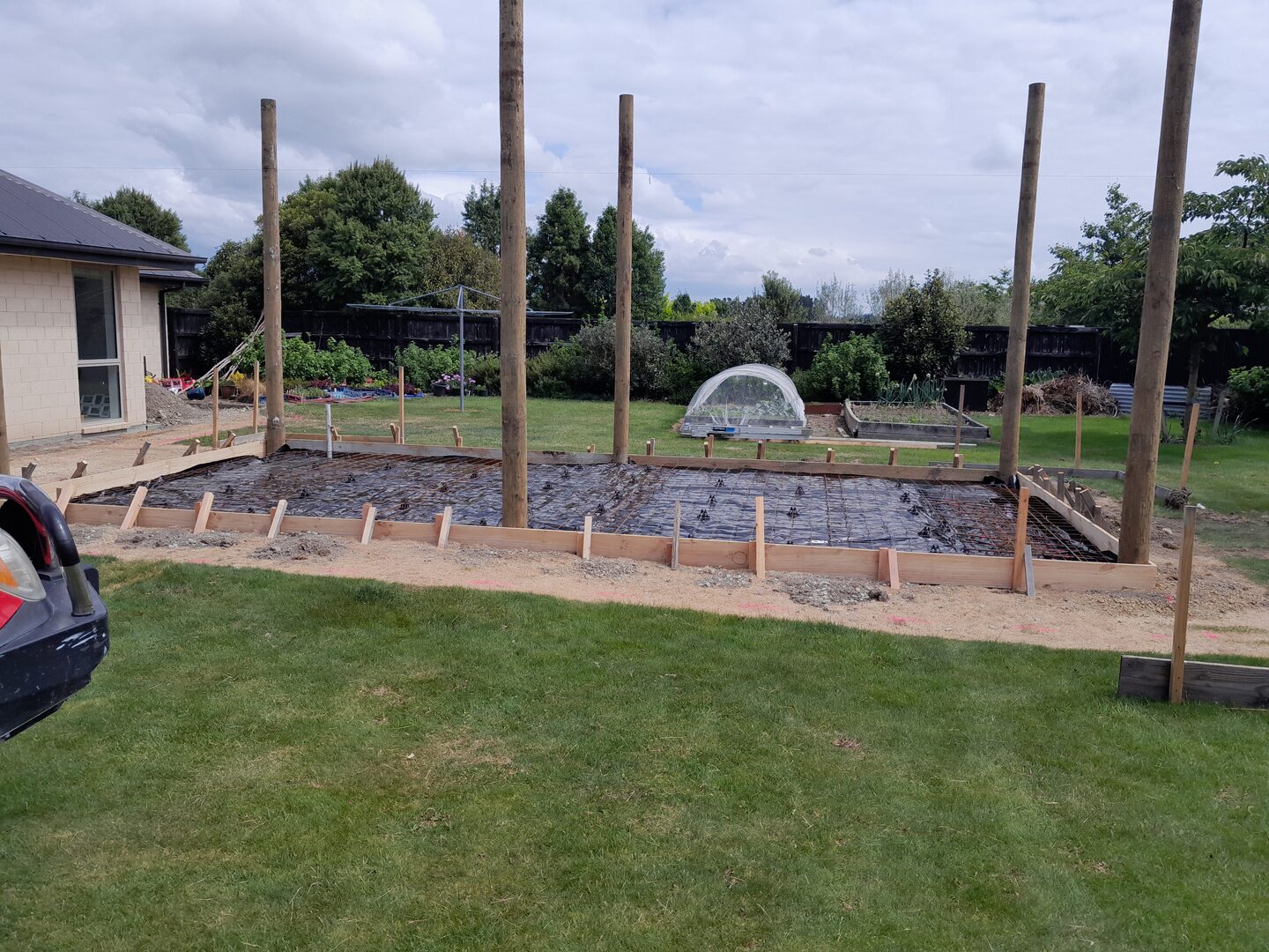 Timber posts standing braced in a boxed and reinforced slab area behind a house, set out for a pergola, with timber boxing and steel mesh in place before the pour